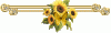 dividersunflower2.gif