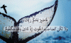 quran-man-whale-yunus-patience.gif