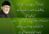 tuq1.png