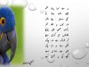parot.jpg