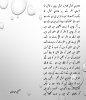Shaair.jpg