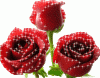 picgifs-roses-414284.gif