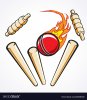 cricket-wicket-stumps-flaming-ball-out-vector-23338348.jpg