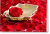 red-rose-flower-petals-spa-aromatherapy-bhupendra-singh-646x445.jpg